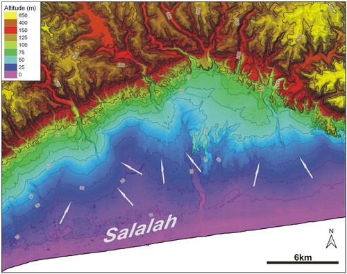 Figure 3. DEM image illustrating alluvial fans (indicated by the arrows) to the North of Salalah.
