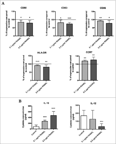 Figure 3. RANKL induces a semi-mature phenotype in DC and modifies their IL-10/IL-12 secretion. (A) DC were cultured in the presence of human recombinant RANKL (0.1 or 0.5 μg/mL). At day 6, DC were stimulated by LPS for 24 h. DC phenotype was then assessed by flow cytometry (maturation markers: CD80, CD83, CD86, HLA-DR, and CCR7). Data were normalized to control DC (= 100%). Data are from six different experiments and mean values are shown as percentages of positive cells ± standard deviation (*P < 0.05; **P < 0.01; ***P < 0.001). (B) IL-10 and IL-12 production by both control DC and DC cultured with RANKL. Data are from 11 different experiments and mean values are shown as cytokine concentration (pg/mL) ± standard deviation (***P < 0.001).