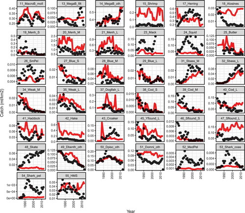 FIGURE 4. Catch (metric tons [mt] per km2) fits for the ecosystem model of the Northwest Atlantic continental shelf. Observed (points) and predicted (lines) catch estimates by year are presented. Panels are labeled by trophic group number, abbreviation, and stanza (small [S], medium [M], and large [L]) if applicable (trophic groups: 11 = macrobenthos–molluscs; 13 = megabenthos–filterers; 14 = megabenthos–other; 15 = shrimp and similar species; 17 = Atlantic Herring; 18 = alosines; 19, 20, 21 = Atlantic Menhaden; 23 = Atlantic Mackerel; 24 = squid; 25 = Butterfish; 26 = small pelagic–other; 27, 28, 29 = Bluefish; 31, 32 = Striped Bass; 34, 35 = Weakfish; 37 = Spiny Dogfish; 38, 39, 40 = Atlantic Cod; 41 = Haddock; 42 = hakes; 43 = Atlantic Croaker; 45 = Yellowtail Flounder; 46, 47 = Summer Flounder; 48 = skates; 49 = demersal benthivores–other; 50 = demersal piscivores–other; 51 = demersal omnivores–other; 52 = medium pelagic–other; 53 = sharks–coastal; 54 = sharks–pelagic; 55 = large pelagics [highly migratory species]). Trophic groups without observed empirical data are excluded.