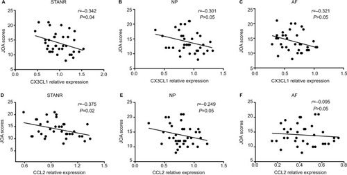 Figure 4 Correlation of local CX3CL1 (A–C) and CCL2 (D–F) expressions with JOA scores.Notes: (A–C) Correlation of CX3CL1 protein expressions with JOA scores in STANR (A), NP (B), and AF (C), respectively. (D–F) Correlation of CCL2 protein expressions with JOA scores in STANR (D), NP (E), and AF (F), respectively.