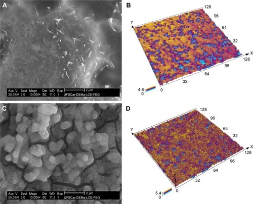 Figure 3 SEM images showing the surface morphology (A and C) and 3D virtual surface area (B and D) after chemical treatment on the surface of UFG Ti–6Al–7Nb alloy: (A and B) UFG-A and (C and D) UFG-AA.Notes: Additionally, quantitative chemical microanalysis (not shown) indicated a reduction of Nb from 7 wt% to about 4.5 wt%, meaning that possibly some β-phase has been removed by chemical etching. Scales are in µm.Abbreviations: SEM, scanning electron microscopy; UFG, ultrafine grained; UFG-A, acid treated; UFG-AA, acid and alkaline treated.