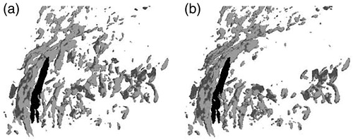 Figure 3. The 3D view of the filtered data. (a) The filtered data. (b) The cleaned up filtered data.
