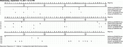 Figure 2.  Lysozyme amino acid sequence alignment between different ruminants and human.