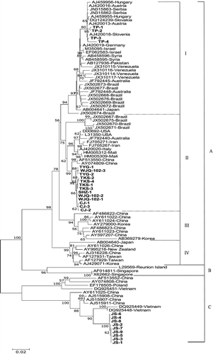 Fig. 2 Neighbour-joining tree depicting the phylogenetic relationships between 26 ZYMV isolates from Xinjiang and 70 published complete coat protein (CP) nucleotide sequences. The name of isolates obtained in this study is shown in bold letters. Bootstrap values (1000 replicates) above 50% are shown.