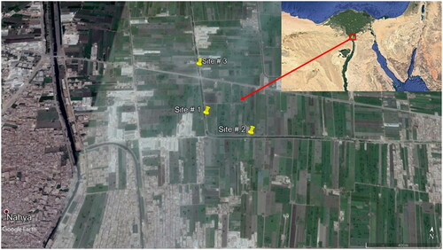 Figure 1. Map of the study area indicating the locations of the three sampling sites.