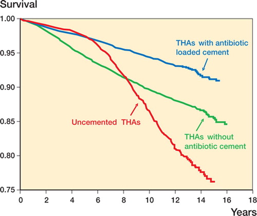 Figure 4. Cox-adjusted survival curves with all reasons for revision as endpoint for uncemented arthroplasties, for cemented hip arthroplasties with antibiotic-loaded cement, and for cemented hip arthroplasties without antibiotic cement.