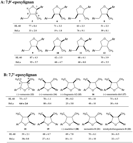Fig. 2. Cytotoxic activities of stereoisomers of 7,9′-epoxylignans (A) and 7,7′-epoxylignans (B), IC50, μM ± SD, n = 3. Ar = 4-hydroxy-3-methoxyphenyl.