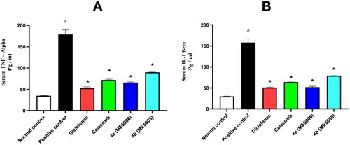 Figure 3. Serum level of the inflammatory mediators (TNF-α and IL-1β) after paw edoema test. The value is expressed as mean ± SD (n = 5). *Significantly different from the positive control group. A) Tumour necrosis factor – alpha (TNF-α). B) Interleukin one beta (IL-1β).