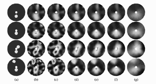 Figure 6 Reconstructed images for the second simulation with different values of α: (a) true target, (b) reconstruction with α = 5 × 10−6, (c) reconstruction with α = 0.05, (d) reconstruction with α = 0.3, (e) reconstruction with α = 0.5, (f) reconstruction with α = 1.0, and (g) reconstruction with α = 5.0.