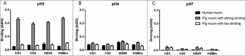 Figure 5. Comparison of binding of four H. suis strains to pig and human gastric mucins. H. suis binding at pH 2 (A), pH 4 (B) and pH 7 (C) to a human mucin, a pig mucin with high H. suis binding ability and a pig mucin with low H. suis binding ability.