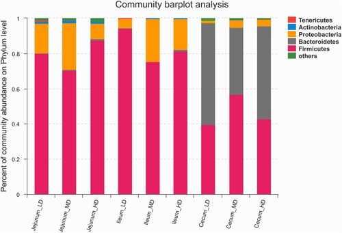 Figure 3. Taxonomic composition of the bacterial communities at the phylum level (n = 6).