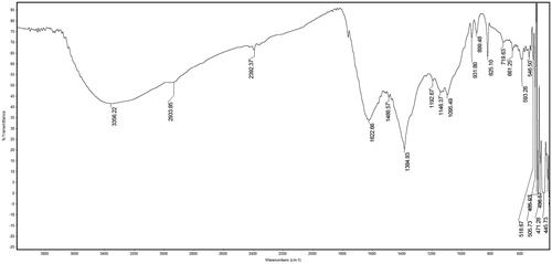 Figure 3. FTIR spectrum of silver nanoparticles biofabricated using the Hugonia mystax aqueous extract.