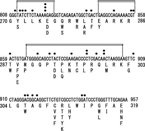 Fig. 3. Sequence analysis of the site saturation mutagenesis library of MMLV RT.