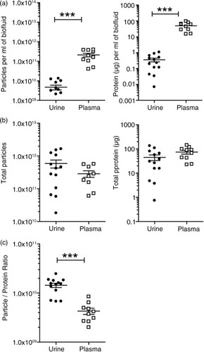 Fig. 4.  Vesicle yields and purity. Urine or plasma specimens were collected from healthy male donors and processed by the aforementioned methods to generate a preparation of vesicles. For each run of plasma (n=10 donors), a total volume of 1.5 ml was processed. The urine donated (n=13), however, was more variable, ranging from 60 to 250 ml. The final vesicle preparations were measured for protein and particles and the data plotted as dot-plots where each symbol is a different donor, and the mean and standard error is shown. In (a), the data are corrected for the initial starting volume (p≤0.001), indicating that plasma provides greater quantity of particles and protein compared to urine. In (b), data show the total material achieved in the vesicle isolates irrespective of input volume. The particle-to-protein ratio as an estimation of sample purity is depicted in (c) (p≤0.001).