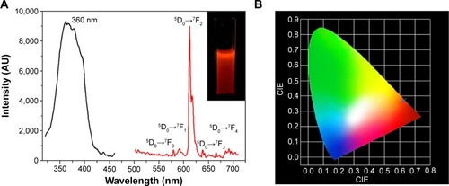 Figure 5 (A) Excitation and emission spectra of Fe-HNT-Eu NC, (B) CIE chromaticity diagram showing the (x, y) photoluminescence emission color coordinates. The inset image shows the NC dissolved in water under UVA irradiation (365 nm).Abbreviations: HNT, halloysite nanotube; NC, nanocomposite; UVA, ultraviolet A; CIE, Commission Internationale de l’Éclairage.