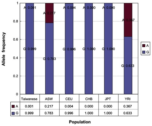 Figure 1 The allele frequencies of the rs16996677 SNP in the MYH9 gene for the five populations of the HapMap database and the Taiwanese population collected in this study.