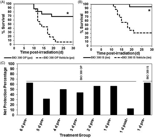 Figure 1. The Kaplan–Meier curves and net radioprotection of 30-day survival of mice administered BIO 300 OP twice daily using various dose schedules. CD2F1 mice (n = 16/group) were administered (A) BIO 300 OP (200 mg/kg) or vehicle po, BID for 6 d prior to TBI or (B) BIO 300 IS (200 mg/kg) or its vehicle administered as a single im injection 24 h prior to TBI. (C) Net radioprotection of BIO 300 OP administered twice daily using various dose schedules or BIO 300 IS administered 24 h prior to TBI. Percent net radioprotection at 30 days was determined by subtracting BIO 300 treatment survival from the respective vehicle group’s survival for each dose schedule and BIO 300 formulation tested. All mice were irradiated with 9.2 Gy cobalt-60 (0.6 Gy/min, approximately LD70/30 dose). Survival was monitored for 30 d post-irradiation. Statistical significance for 30-day survival was determined by log-rank test (*p<.05).