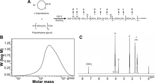 Figure 2 Synthesis scheme (A), gel permeation chromatography curve (B), and proton nuclear magnetic resonance spectra (C) of poly(ε-caprolactone)-poly(ethylene glycol)-poly(ε-caprolactone) copolymer.Note: M, molecular weight, PPM, parts per million.