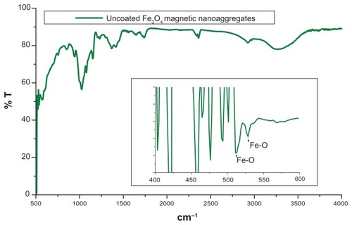 Figure 4 FTIR spectrum of uncoated magnetic nanoaggregates.Abbreviation: FTIR, fourier transform infrared spectroscopy.