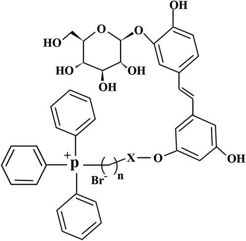 Figure 1. The chemical structure of Mito-TSG.