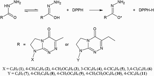 Figure 3. A proposed mechanism for the scavenging of DPPH radical by the investigated hydrazide-containing compounds (1–11).