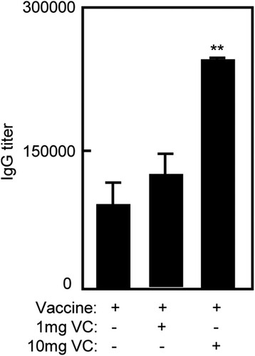 Figure 2. High dose of VC supplementation increased IgG level of immunized mice. Notes: The C57BL/6 mice were treated daily by intraperitoneal injection with VC. On day 7 and day 21, the mice were immunized with vaccine respectively. The mice were injected with saline, VC or vaccine alone as control groups. Seven days after the second immunization, serum of immunized mice was collected for ELISA. Bar, mean and SD from 3 independent experiments, each using at least three mice per group (n = 3); **p < .01.