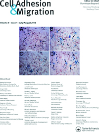 Cover image for Cell Adhesion & Migration, Volume 9, Issue 4, 2015