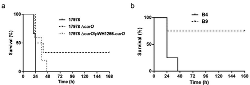 Figure 5. Analysis of mice survival time in the peritoneal sepsis model by (a) 3.20 log10 CFU/mL of A. baumannii ATCC 17978 wt (17978), its isogenic ΔcarO mutant (17978 ΔcarO), and the complemented strain (17978 ΔcarO/pWH1266-carO) (n = 6 mice/strain); and by (b) 4.00 log10 CFU/mL of the A. baumannii clinical isolates B4 and B9 (n = 4 mice/isolate). Survival curves showed the percentages of mice survival during 7 days. P = 0.03 for 17978 vs. 17978 ΔcarO, and P = 0.04 for B4 vs. B9, log-rank test