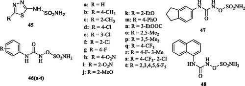 Figure 7. Sulfamides 45 and sulfamates 46–48 reported as hCA VA/VB inhibitors.