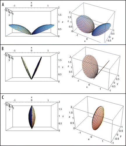 Figure 2 Modeling of the trap closure: (A) Open state; (B) Intermediate state with curvature equal to zero; (C) Closed state. Left column—front view, right column—side view.