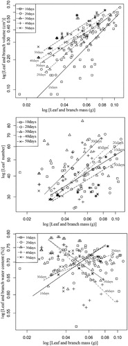 Figure 2. Allometric relationships between leaf number, leaf-and-branch volume, and leaf-and-branch water content with leaf-and-branch dry mass of M. laxiflora at different growth recovery times. Allometric relationship between leaf traits differs among different plant recovery times.
