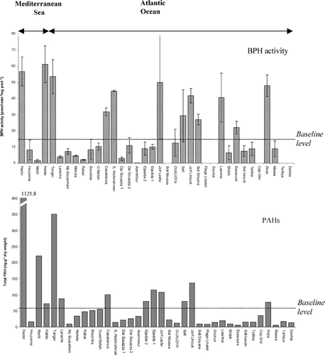 FIGURE 2 Concentration of polycyclic aromatic hydrocarbons (ng/g of mussel dry weight) (2a) and values for BPH activity (pmol.min−1 mg−1) (2b) in the populations of Perna perna sampled from the various locations along Moroccan coasts.