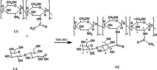 Figure 1. The synthetic scheme of GC (Liang et al., Citation2011).