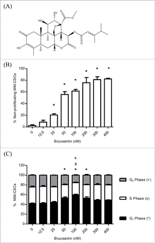 Figure 1. Effect of BCT on MM-CSCs proliferation and cell cycle distribution. Chemical structure of BCT (A). MM-CSCs were treated with vehicle control or increasing concentrations of BCT for 24 h. Cells were stained with VPD450 for proliferation assays (B), or fixed, permeabilized and treated with the FxCycle DNA stain for cell cycle analyses (C). Cell proliferation and DNA content were quantified by flow cytometry (at least 10,000 cells counted) as described in Materials and Methods. The percentage of MM-CSCs in each cell cycle phase was calculated using the Attune software provided by the manufacturer (C). Results represent the means ± SEM of at least 3 independent experiments. Percentage of non-proliferating MM-CSCs (*), MM-CSCs in G1 phase (*), S phase (x) or G2 phase (+) significantly different from control values as determined by a one-way ANOVA, followed by Bonferroni multiple comparison test (p < 0.05).