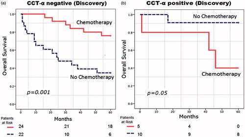 Figure 3. Overall survival in months from randomization in (a) choline-phosphate cytidylyltransferase-α (CCT-α)-negative patients (n = 46) and (b) CCT-α-positive patients (n = 15) enrolled in the discovery data set.