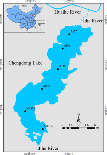 Figure 1. Distribution of sampling locations in Chengdong Lake in the present study. MD = macrophyte-dominated zones, AD = algae-dominated zones.