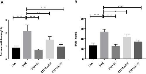 Figure 5 Effectiveness of CA leaves extract on kidney functions (A) serum creatinine and (B) BUN. Data are expressed as means ± S.E.M.; ****p ≤ 0.00001 vs control or STZ; **p ≤ 0.001 vs STZ; *p ≤ 0.05 vs STZ -induced diabetic rats (n=6).