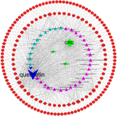 Figure 3 C-D-T network of ZJW. The red circle stands for gene, blue, pink and navy-blue triangle stand for compounds of ZJW. The green diamond stand for CRC, E. rutaecarpa and R. coptidis.