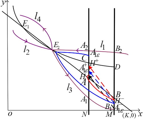 Figure 5. The existence of order-1 periodic solution of system (Equation3(3) dx(t)dt=rx(t)1−x(t)K−bx(t)y(t),dy(t)dt=cx(t)y(t)y(t)y(t)+m−dy(t),x<xT,Δx(t)=−p(xT)x(t)Δy(t)=−q(xT)y(t)+τ(xT)x=xT.(3) ) when x2≤(1−pxT)xT<xT≤xZD,τT∈(τ1,τ2).