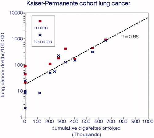 Figure 6. Lung cancer mortality rates from the Kaiser Permanente cohort study (Friedman et al. Citation1997). The dashed line represents the overall slope of lung cancer mortality with cumulative cigarettes smoked.