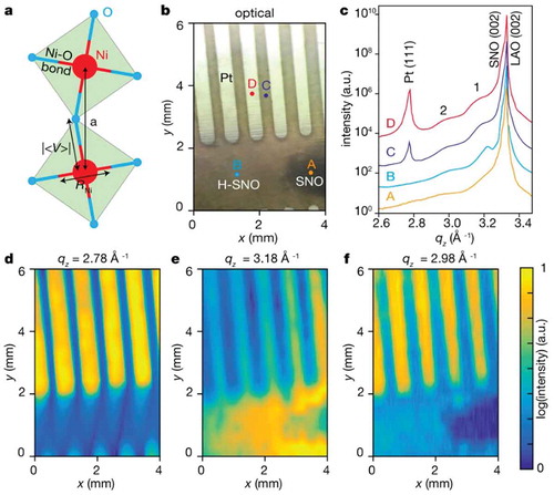 Figure 6. Synchrotron structural characterization of the emergent strongly correlated SmNiO3 (SNO) phase [Citation5]. (a) A larger crystal radius of Ni2+ and electron localization can induce an increase in the lattice spacing. (b) An optical image of a hydrogenated SNO sample. (c) X-ray diffraction patterns from the various spots A, B, C and D marked in (b). The difference in the lattice spacing change can be related to the decreasing doping concentration with increasing diffusion length from the triple phase boundary where hydrogen enters SmNiO3. (d) Real-space mapping of the intensity of the Pt (111) peak at qz = 2.78 Å−1 (e) the H-SNO peak 1 at qz = 3.18 Å−1 (e) and the H-SNO peak 2 at qz = 2.98 Å−1 (f) A clear positive correlation between the Pt (111) and the qz = 2.98 Å−1 peaks can be seen, whereas the Pt (111) and qz = 3.18 Å−1 peaks show a negative correlation. Reproduced with permission from Ref. [5] © Springer Nature 2016.