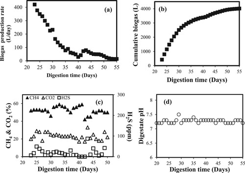 Figure 2. Daily (a) and cumulative (b) biogas production, biogas composition (c), and digester pH (d) during VUT-1000C biodigester start-up (Khune Citation2021).