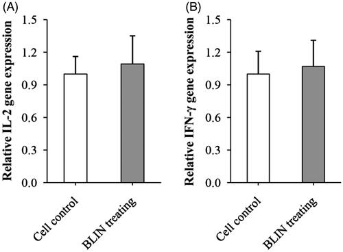 Figure 4. Influence of BLIN on the expression of IL-2 and IFN-γ mRNA. BLIN at 5 μg/mL was used to treat the B lymphocyte for 48 h. Then, the expression of IL-2 and IFN-γ mRNA was detected by qRT-PCR.