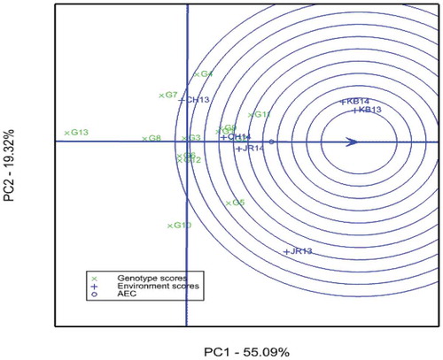 Figure 4. GGE biplot view to rank the 6 sorghum growing environments using environment-centered scaling. CH13 = Chefa 2013, CH14 = Chefa 2014, JR13 = Jari 2013, JR14 = Jari 2014, KB13 = Kobo 2013, KB14 = Kobo 2014. Abbreviations of genotypes are given in Table 2