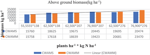 Figure 6. Observed and simulated of above ground biomass.