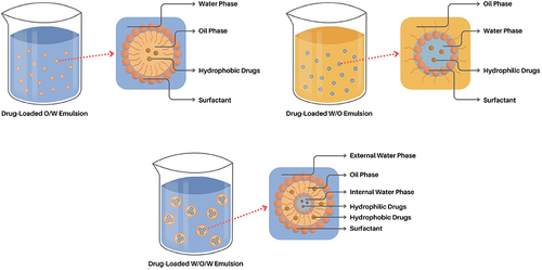 Figure 1 Schematic diagram showing different kinds of drug-loaded emulsions classified by their dispersed and continuous phases: oil-in-water (O/W), water-in-oil (W/O), and water-in-oil-in-water (W/O/W).