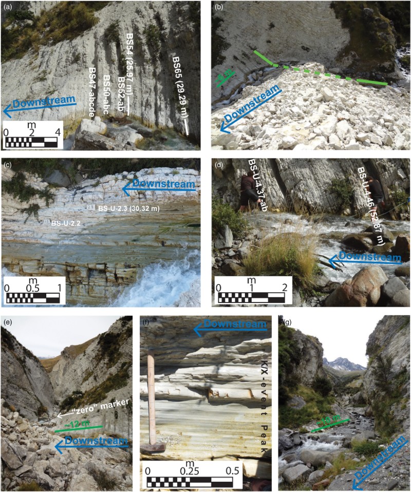 Figure 5 Photographs highlight specific features at Branch Stream, with downstream direction indicated by blue arrows. A, Middle section between the J and K/X events. B, Downwards view of the tie point between the middle and upper sections. C, Horizontal image of the K/X event at base of the upper section. D, An interval of mostly limestone with recessed marl horizons just above the L event in the upper section. E, Image looking down the gorge with ‘zero’ datum marked in black. Note that the main gorge continues below the ‘zero’ datum, but there exists a major waterfall. F, Detailed image of K/X event where δ13C reaches a minimum (Fig. 6). G, Image looking up the gorge at Mount Tapuae-O-Uenuku framed by Upper Limestone, which lies above the logged section. For photographs B, E and G, approximate scales are placed on convenient exposures with acknowledgement that the field of view and scale changes significantly.