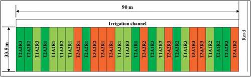 Figure 4. Field layout of the experiment.