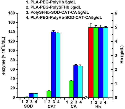 Figure 4. The concentrations of Hb and enzymes activities in PLA-PEG-PolyHb nanoparticles, PLA-PEG-PolySFHb nanoparticles, PolySFHb-SOD-CAT-CA, and PLA-PEG-PolySFHb-SOD-CAT-CA nanoparticles.