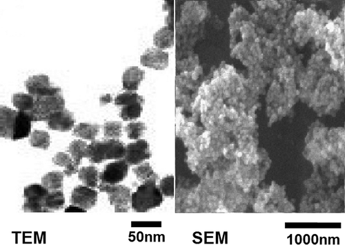 Figure 1. (a) TEM image [Citation1] of Co80Ni20 nanoparticles with 50 nm average diameter and (b) SEM image [Citation13] of the Co80Ni20 nanoparticles prepared by polyol process.
